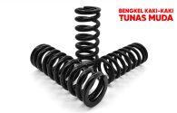 Coil Spring