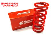 Eibach Springs